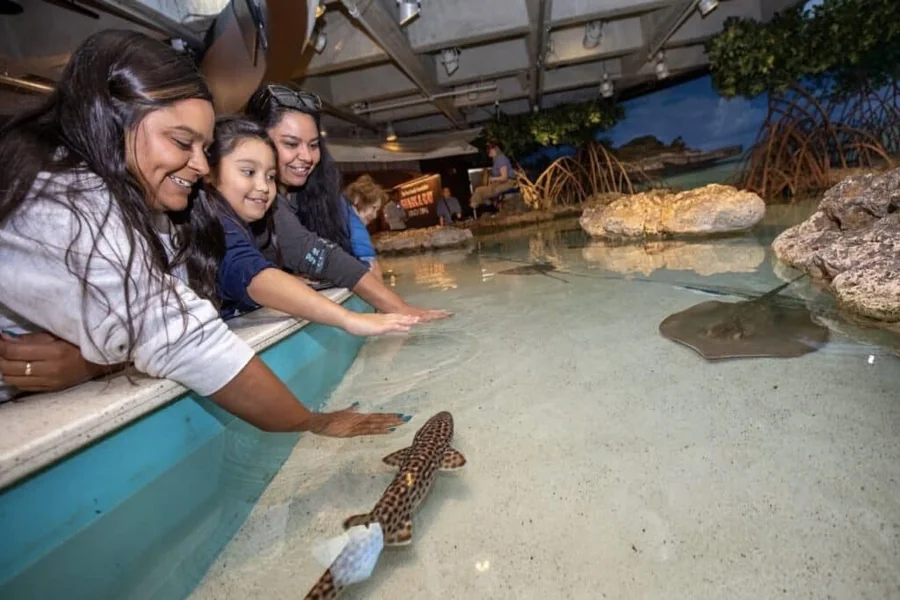 Fun Group Activities in Boston for Memorable Days Out Fun Group